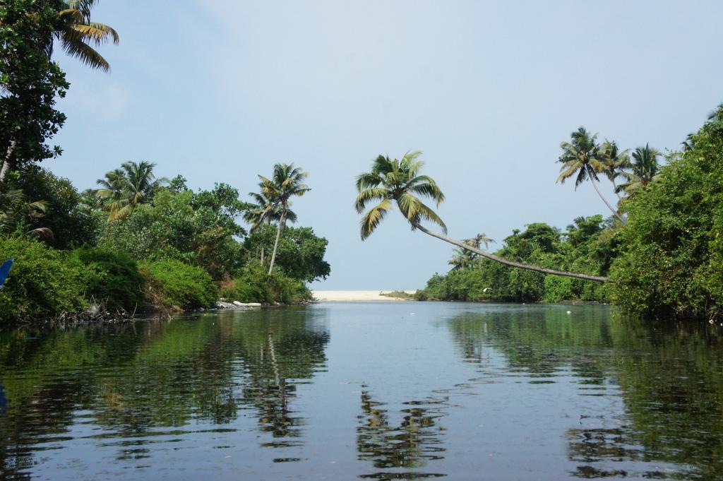 Marari Secret Beach Yoga Homestay ماراريكولام المظهر الخارجي الصورة
