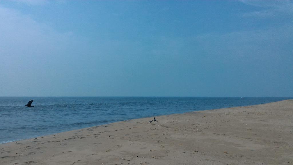 Marari Secret Beach Yoga Homestay ماراريكولام المظهر الخارجي الصورة